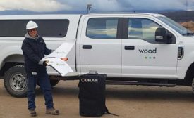 Wood surveying crew in the field