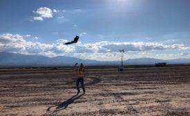 senseFly drone in the air