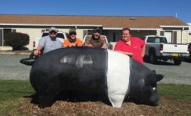 North Carolina A&T State University 